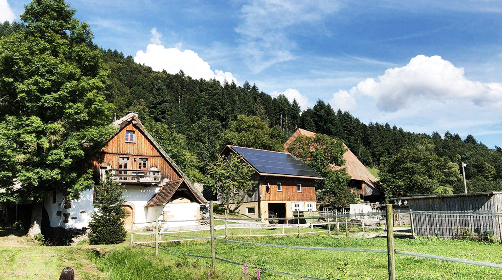 Der Martinshof von außen. Man sieht die Front mit den verschiedenen Hofhäusern und dem Schwarzwald im Hintergrund.