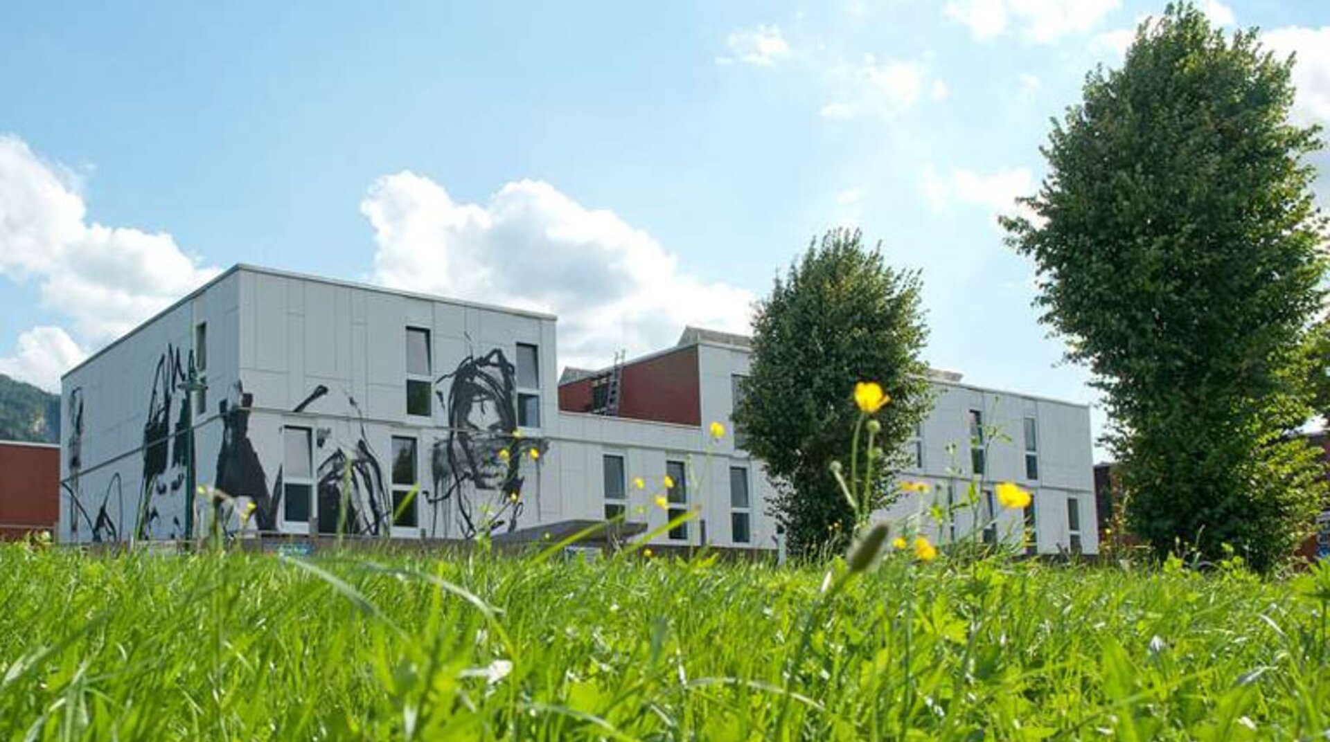 Mehrfamilienhaus , Neue Heimat Tirol, Blick auf Außenfassade, weite Distanz, Betrachtung von Wiese aus